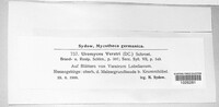 Uromyces veratri image